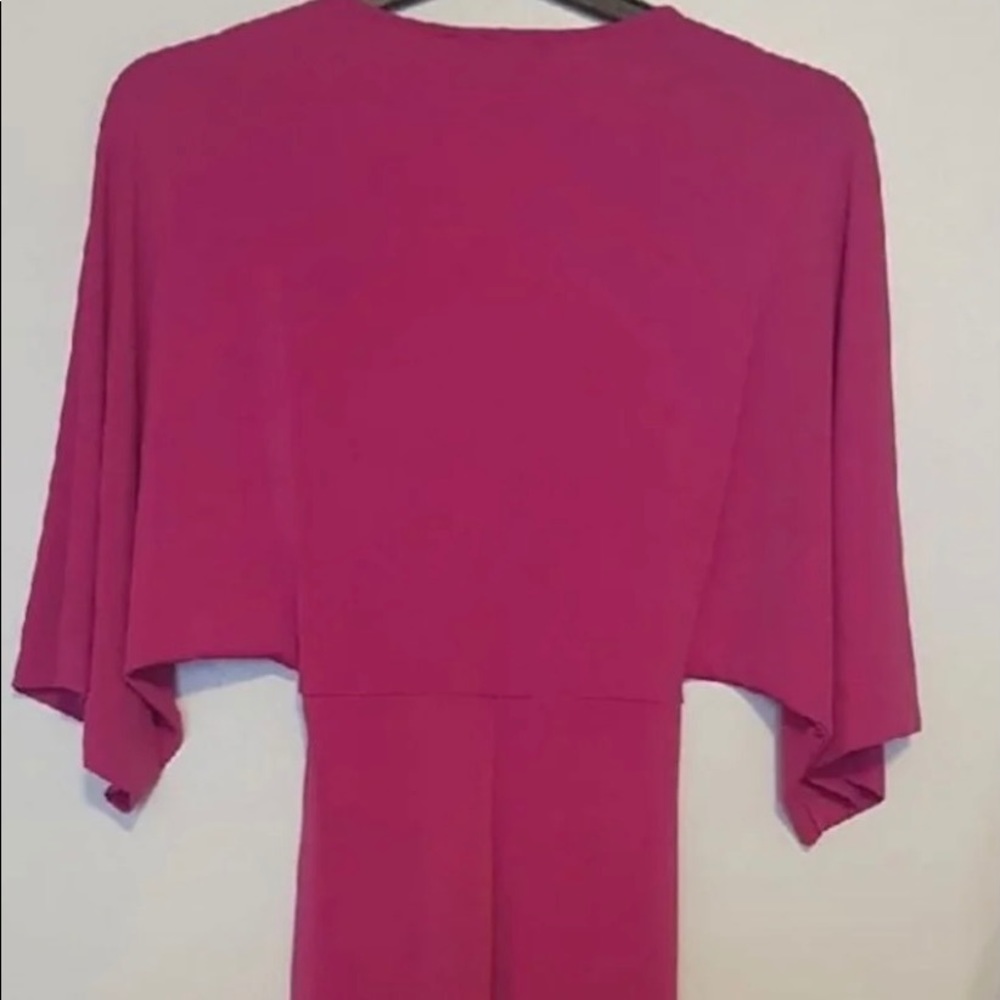Express Dress - Picture 3 of 3